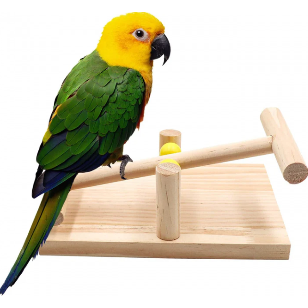 الاکلنگ اسباب بازی پرنده