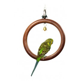 تاب گرد کوتوله بریلی و مرغ عشق