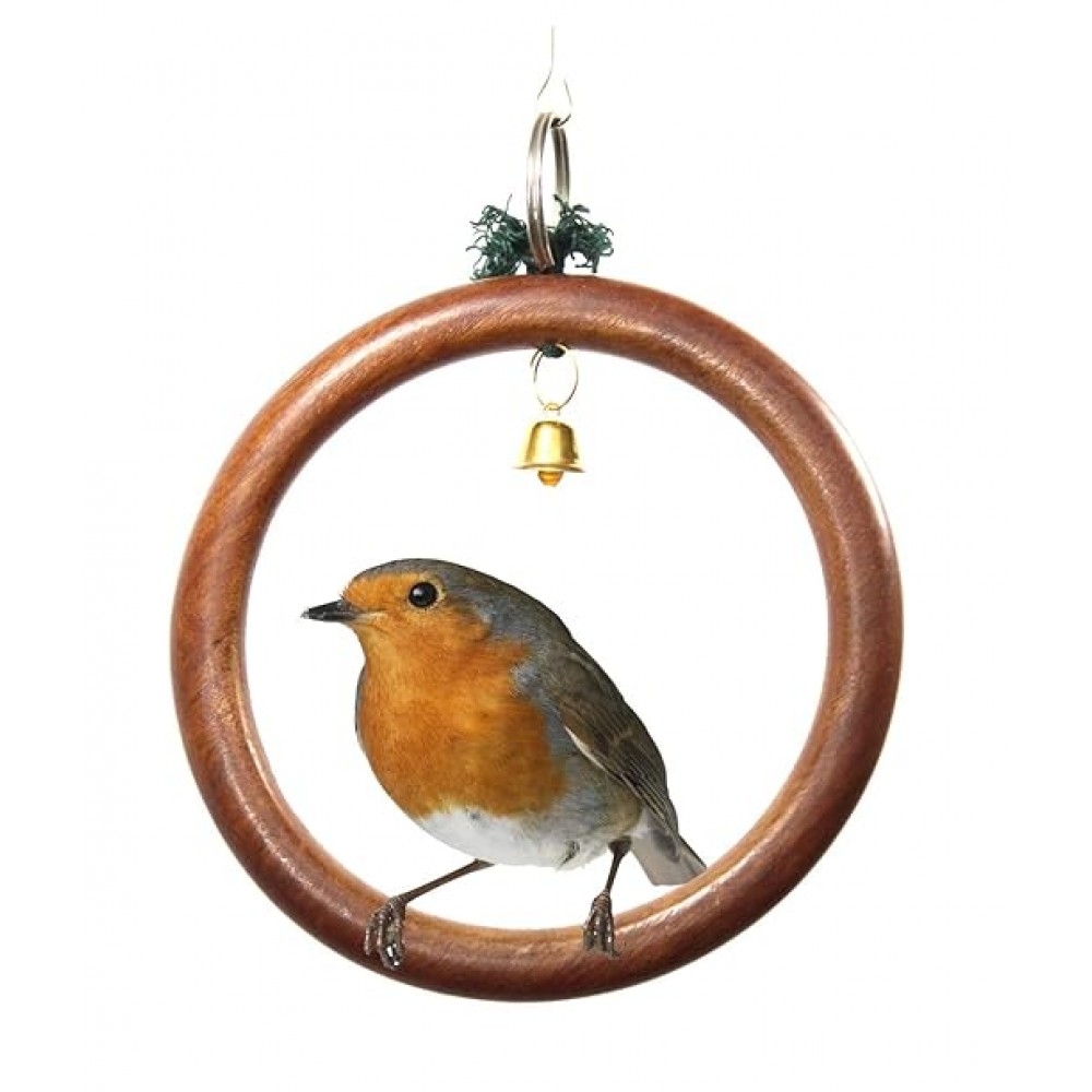 تاب گرد کوتوله بریلی و مرغ عشق