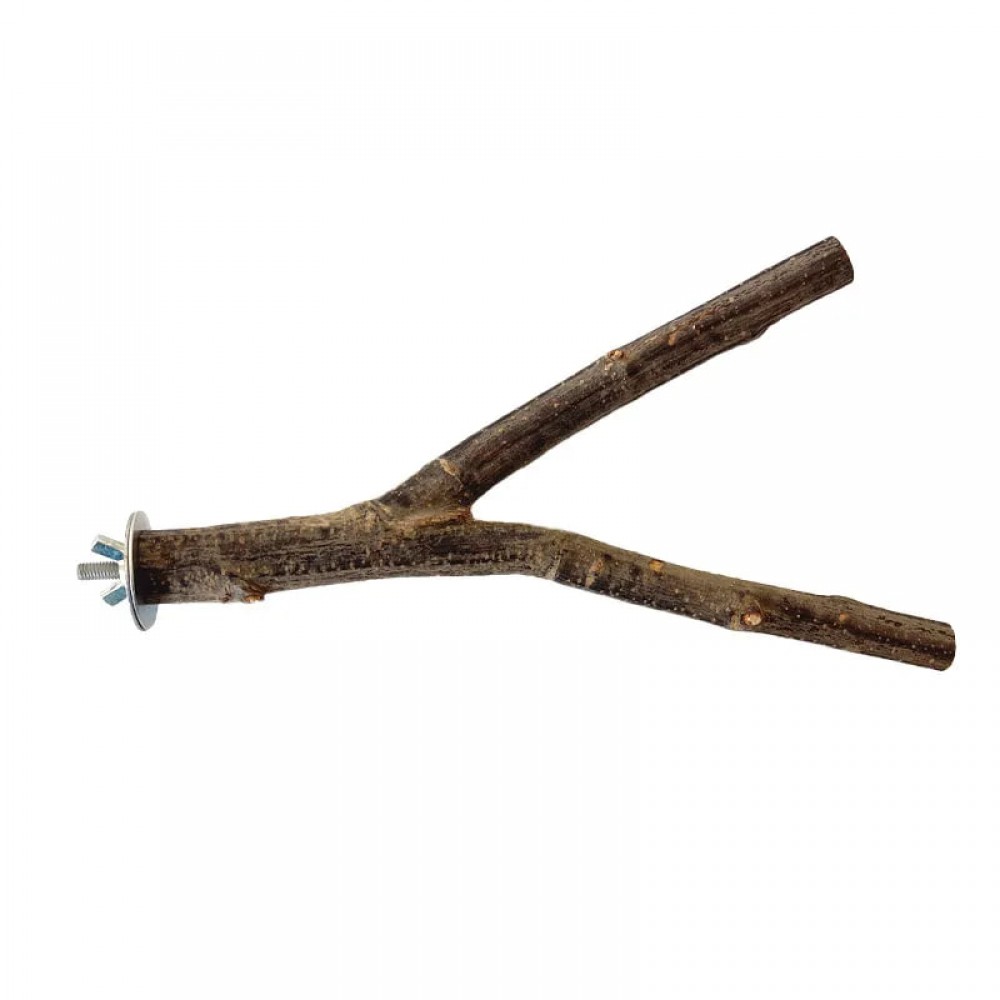 تیرکی و نشیمنگاه دوشاخه پرندگان