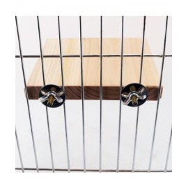 نشیمنگاه عروس هلندی و طوطی