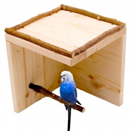 نشیمنگاه مدل کیاشا