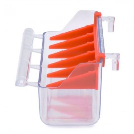 دانخوری کریستالی پرندگان