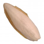 کف دریا صدف ماهی مرکب پرندگان