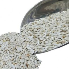 تخم کافشه پرندگان | غذای مقوی برای انواع پرندگان