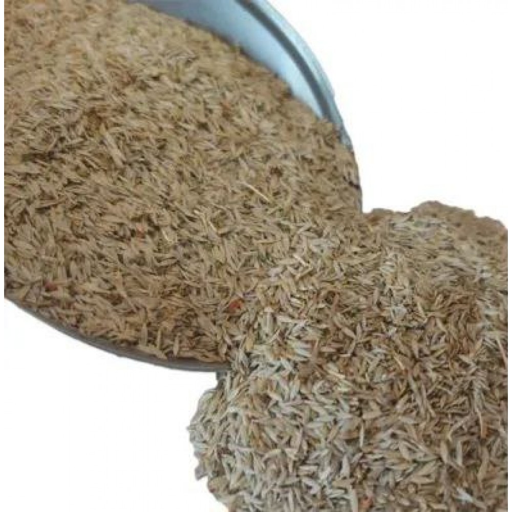 تخم کاهو پرندگان