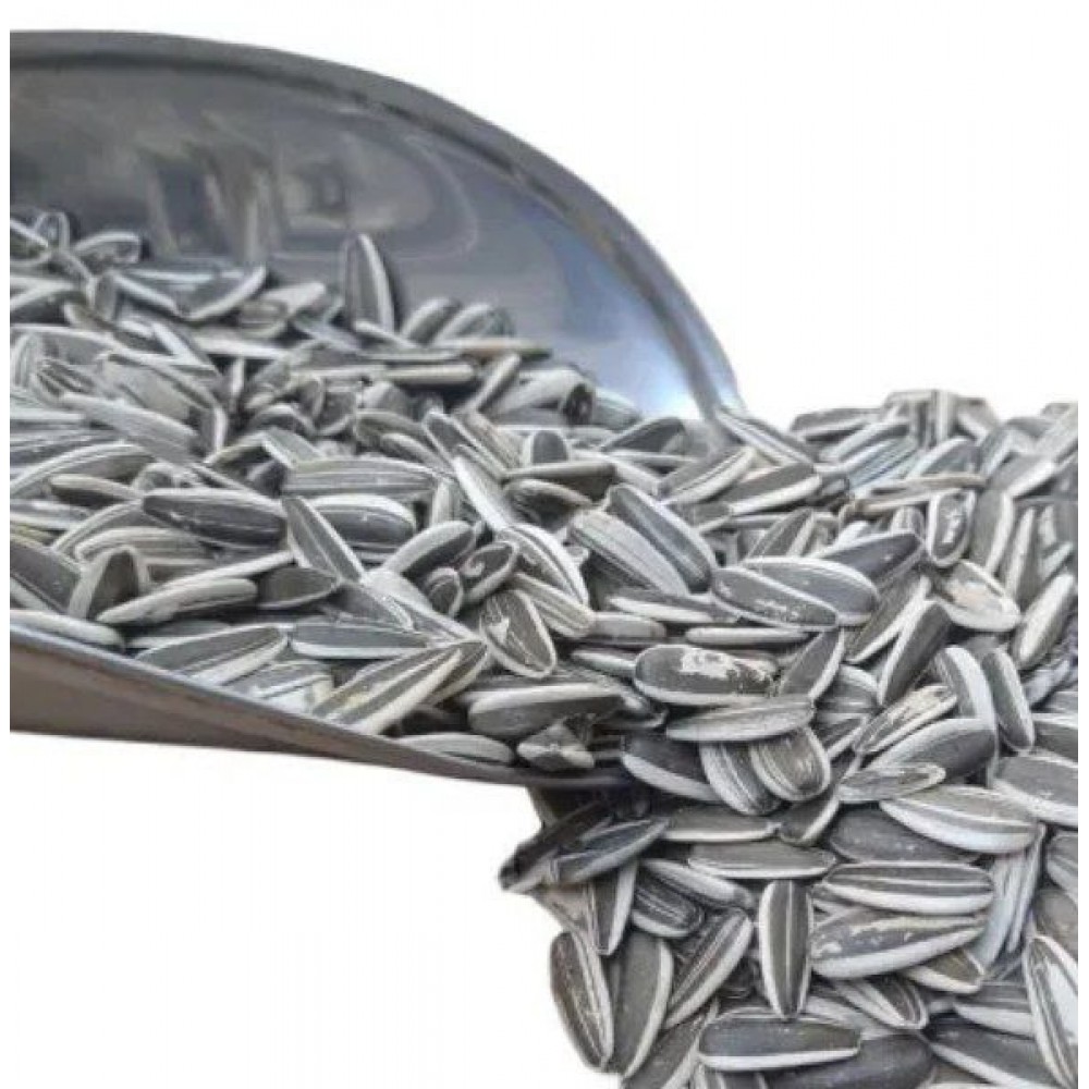 تخم آفتابگردان دور سفید پرندگان