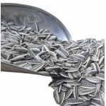 تخم آفتابگردان دور سفید پرندگان | مقوی برای پرندگان