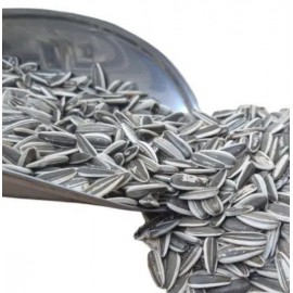 تخم آفتابگردان دور سفید پرندگان | مقوی برای پرندگان