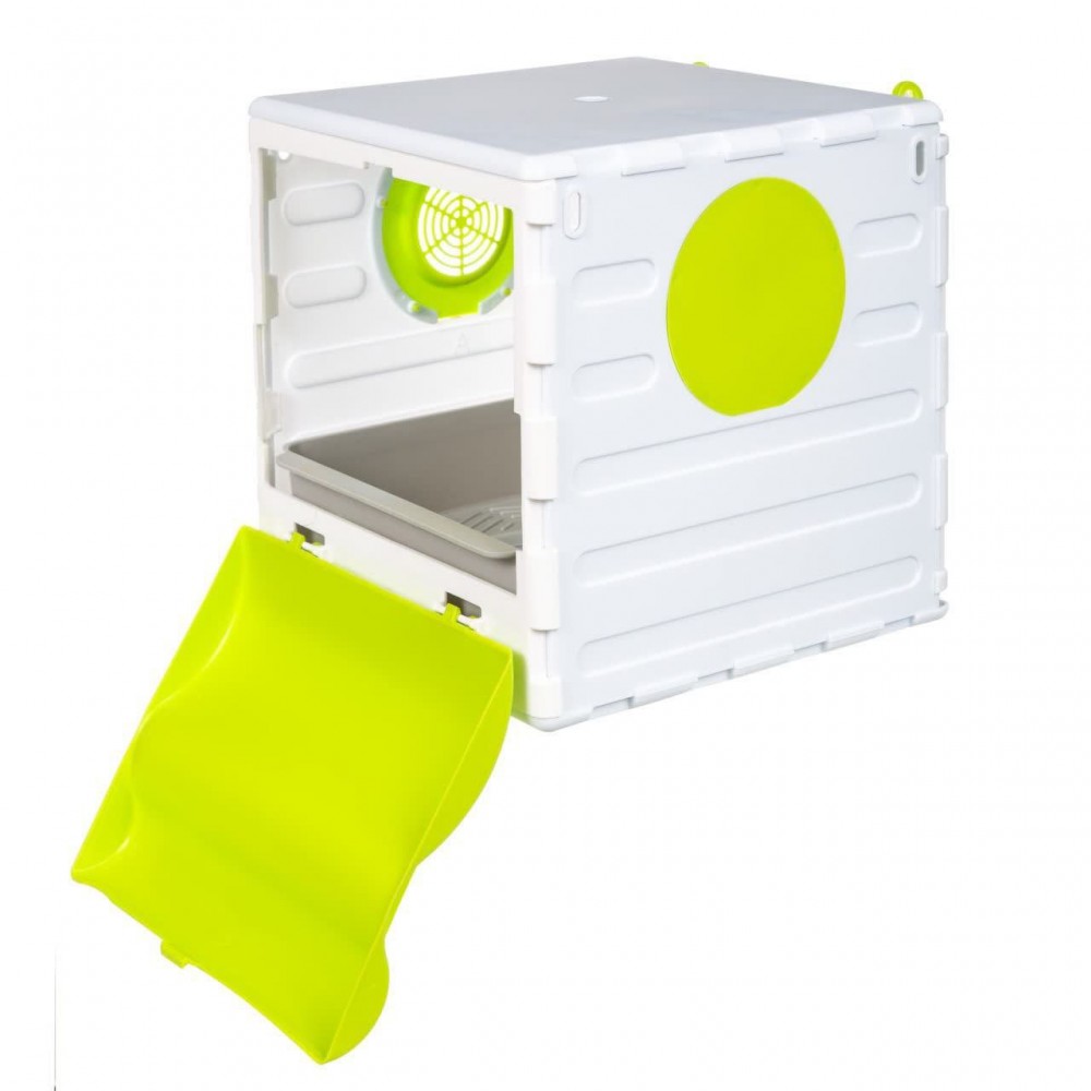 لانه کوتوله برزیلی جاوا رنگ سبز