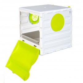 لانه کوتوله برزیلی جاوا رنگ سبز