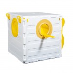 لانه کوتوله برزیلی جاوا رنگ زرد