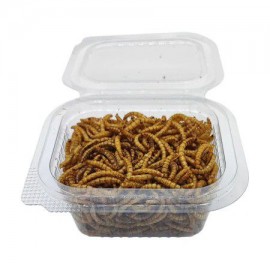 کرم میلورم برای عروس هلندی و پرندگان