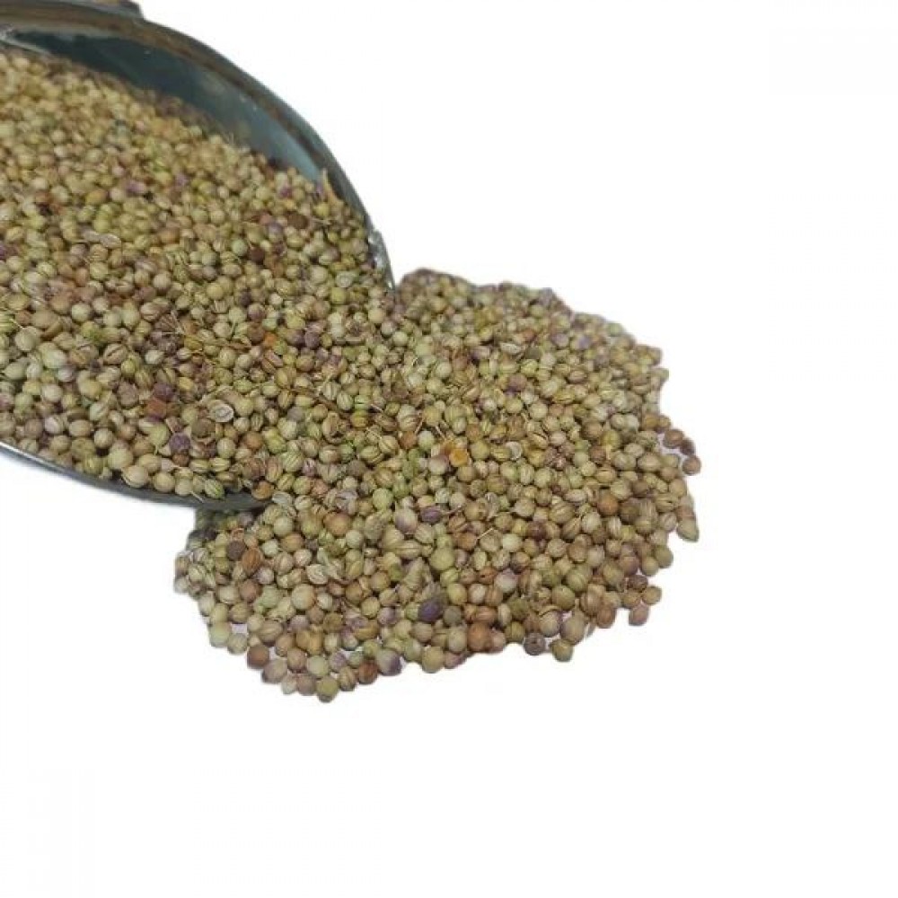 تخم گشنیز مخصوص پرندگان | تغذیه طبیعی و تقویت پرها