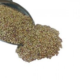 تخم گشنیز مخصوص پرندگان | تغذیه طبیعی و تقویت پرها