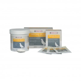 تریکوپلاس ورسلاگا بلژیک