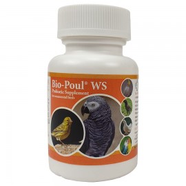 پروبیوتیک بیوپول