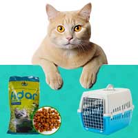 محصولات گربه